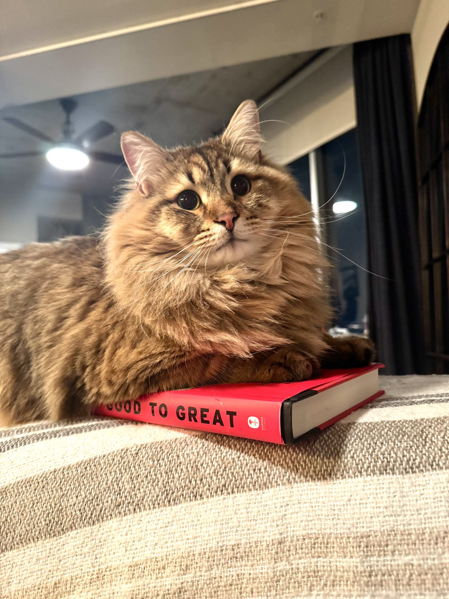 A demo image of AI Ghibli Style Generator