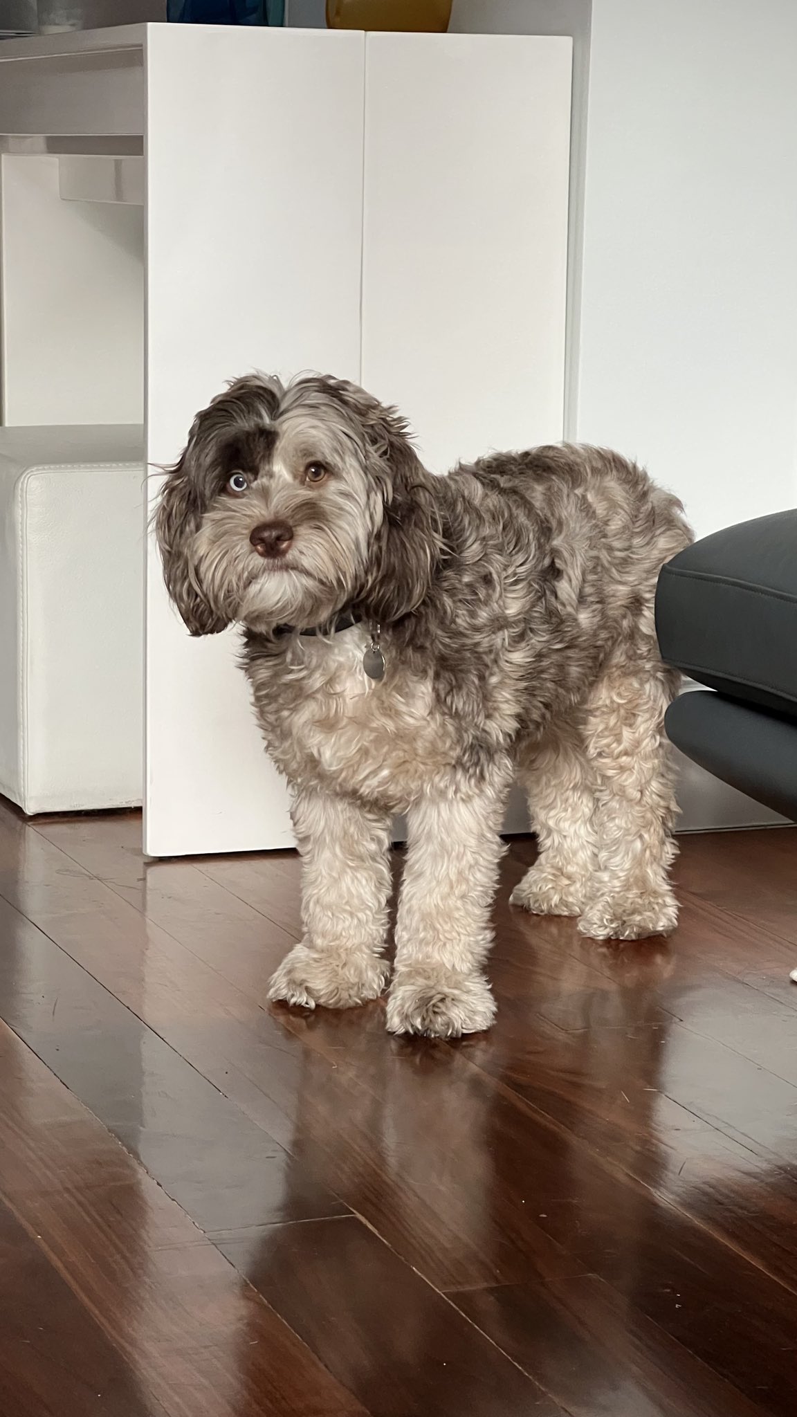 A demo image of AI Ghibli Style Generator